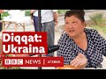 Диққат: Украина. Жонли - Ўзбекистон қўрқиши учун қанчалик асос бор? O‘zbekiston, Rossiya, Ukraina