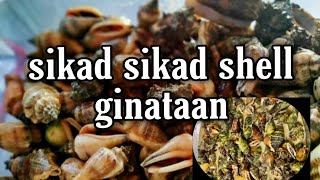 SIKAD SIKAD SHELL GINATAAN #Rm gabanan