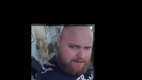 Chú Vẹt Lầy Lội  Hài Hước  Nhât Quả Đất