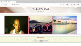 The bodyPix