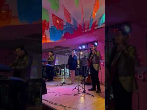 mkmusikal en vivo desde casino flamingo