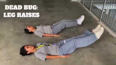 PED 030: MINI PERFORMANCE TASK- 3 BIRD DOG & 3 DEAD BUG starting with a WARM UP