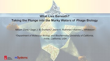 What Lies Beneath? Taking the Plunge into the Murky Waters of Phage Biology