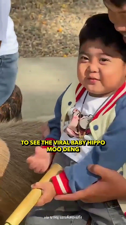Terminally Ill Boy Passes Away After Last Wish To See Moo Deng
