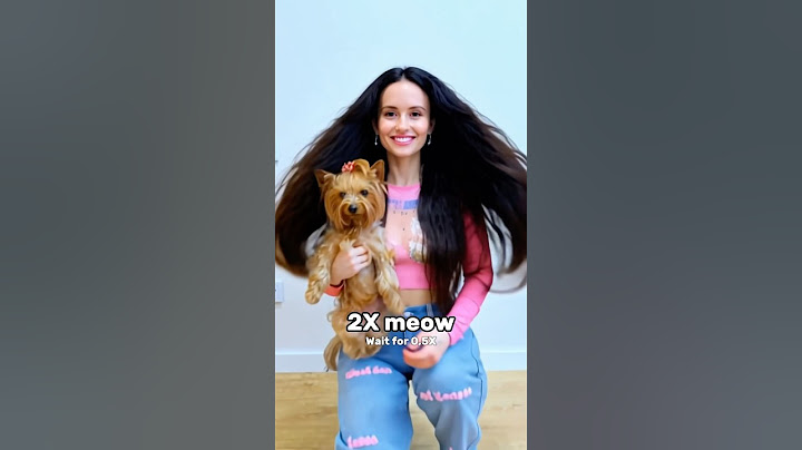 Wait For The Last One Meow #katebrush #shorts #viral