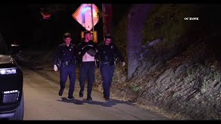 Trespasser arrested at home of 'Suite Life of Zack & Cody' actor Dylan Sprouse: reports
