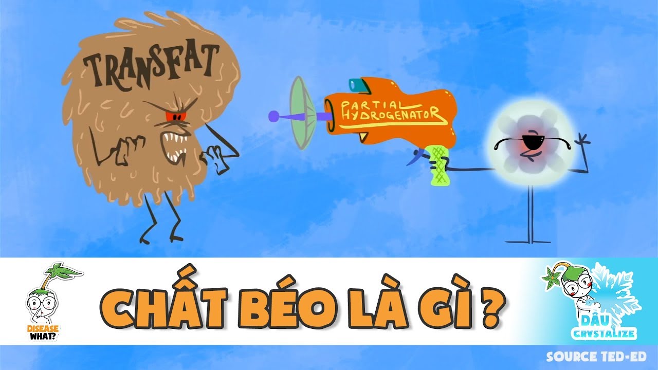 [DISEASE WHAT] Chất béo là gì?