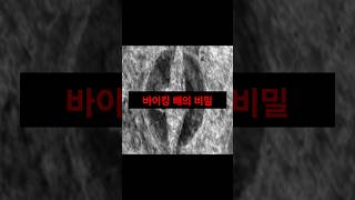 &quot;50cm 땅속에서 발견된 바이킹 배의 비밀! 레이더로 밝혀진 고대의 흔적&quot; #history