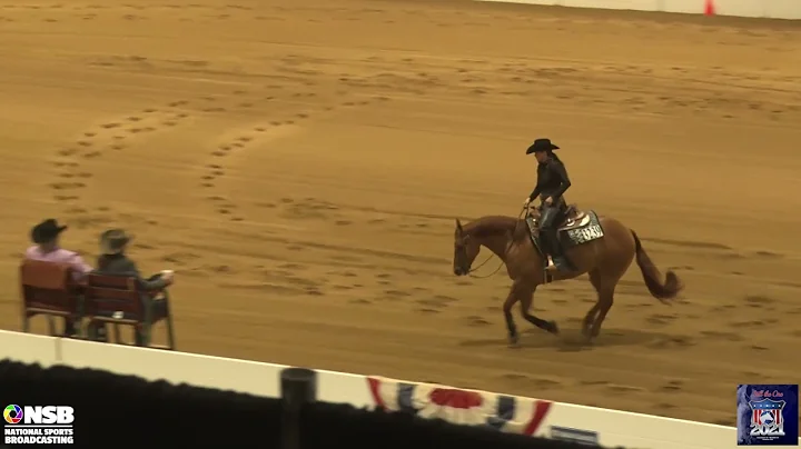 2021 Quarter Horse Congress Novice Horse Non Pro N...