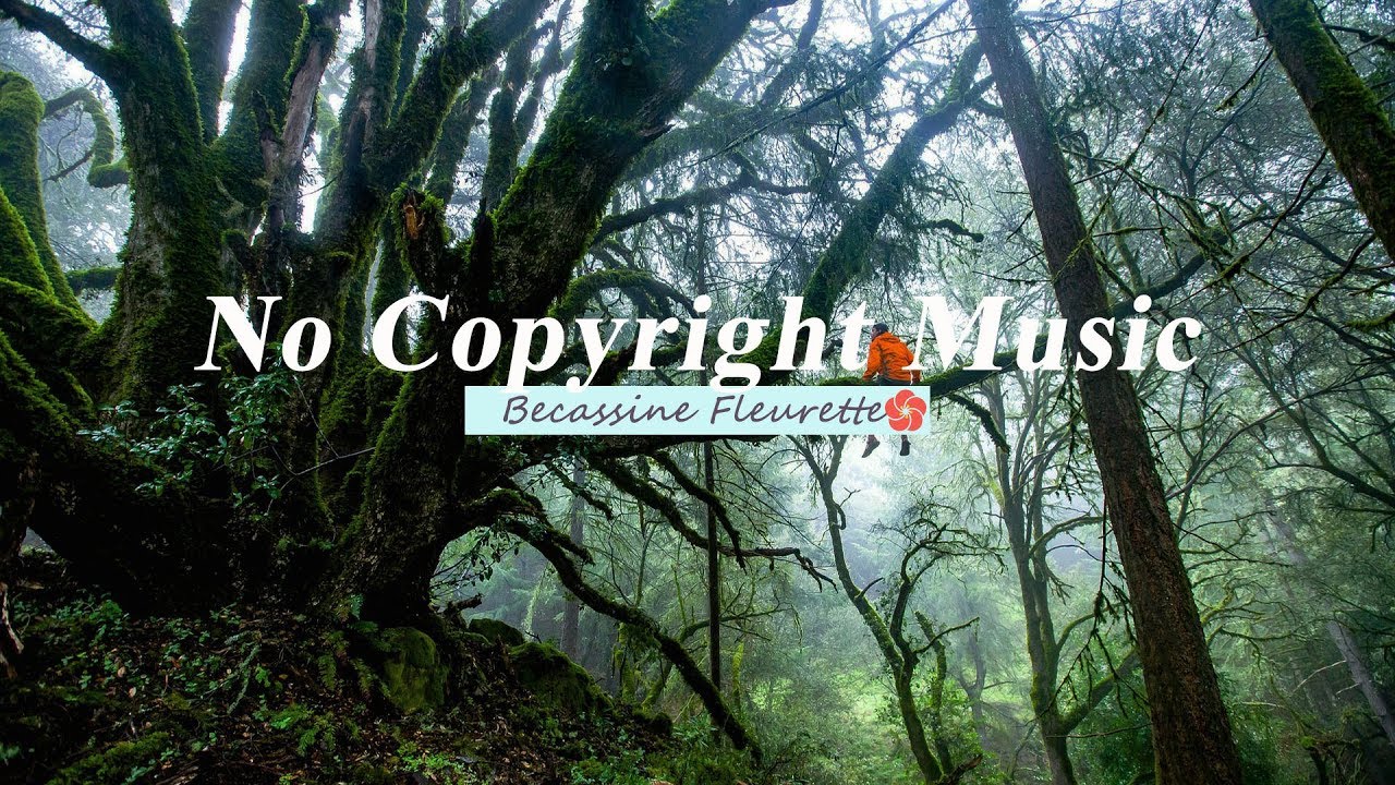 Guarda BraveLion - Sleeping Jungle su YouTube Guarda BraveLion - Sleeping Jungle su YouTube