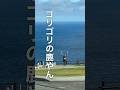 北海道で巨大なエゾシカときつねにビビり倒す