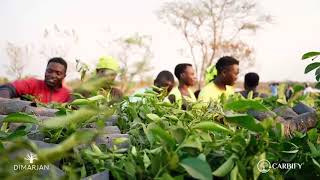 Download Lagu Dimarjan Kixinge Agroforestry - End of September 2024 Day 1 MP3