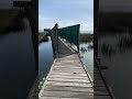 Geelbek Bird Hide, West Coast National Park, Langebaan. #shorts