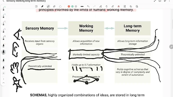 How Cognitive Load Theory works with Sensory Memory, Working Memory, and Long Term Memory