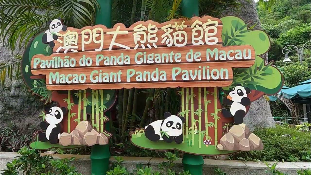 MACAO GIANT PANDA PAVILION || ZOO AND NATURE PARK IN || PAVILION OF