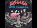 Which Hotel California Is On The Eagles Album