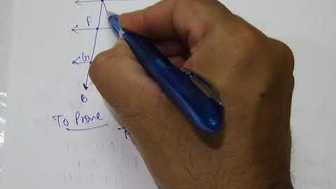 PROPORTIONAL INTERCEPT PROPERTY