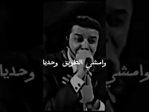 كل القلوب بتبيع