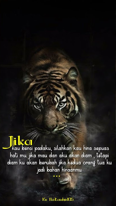 Story WA kata-kata bijak sang Harimau..!!