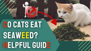 Can Cats Eat Seaweed? Exploring Feline Diets and Safety