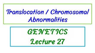 Translocation / Lecture 27 / Genetics