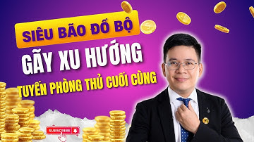 Thị Trường Lao Đao: Dòng Dẫn Vùng Lên Cứu Giá – Hay Chỉ Kéo Dài Cái Kết Sụp Đổ?