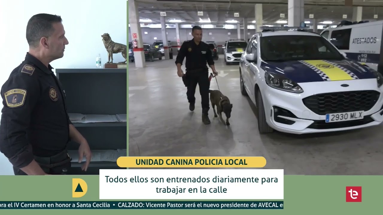 DIA A DIA | Unidad Canina Policía Local Elche - 26/11/2024