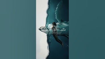 هذا خلق الله  | الآية 11 من سورة لقمان #quran #اكسبلور #قرآن #قران_كريم #ياسر_الدوسري #fypage #قرآن