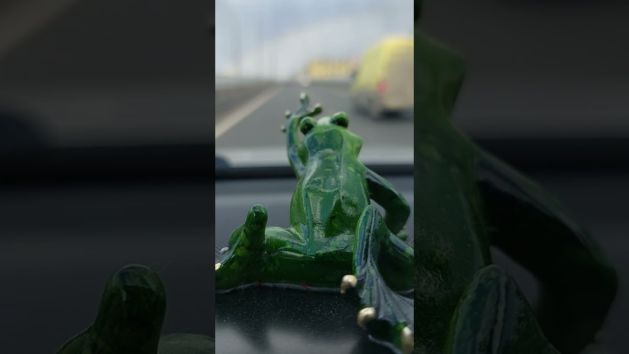 Exploring Nature: Frog and Rainbow