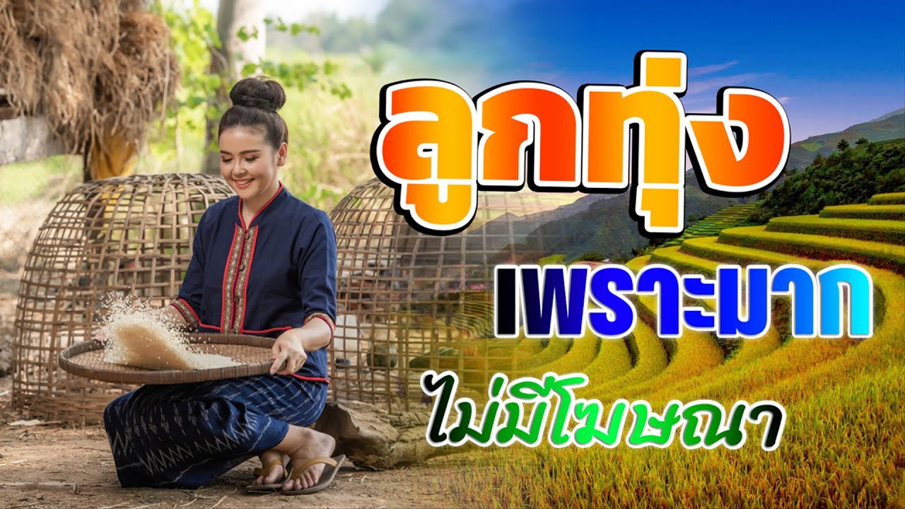 ลูกทุ่งเสียงดีมาก : รวมเพลง ลูกทุ่งฮิตที่สุด ฟังต่อเนื่อง #ลูกทุ่งเพลงดัง {เสียง HD}