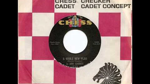 JO ANN GARRETT - A Whole New Plan