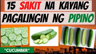 PIPINO -  mga SAKIT na kayang pagalingin at Health BENEFITS | GAMOT, LUNAS | Herbal | CUCUMBER