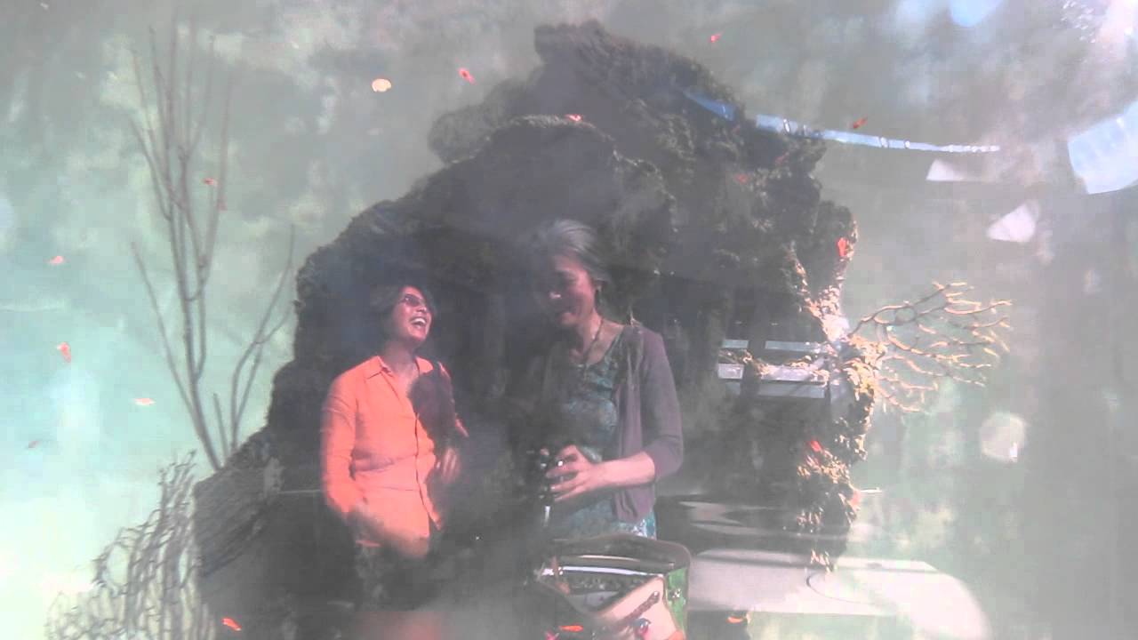 Mad at the Aquarium - Poissons d'or Debussy 张夏榕 德布西 金鱼