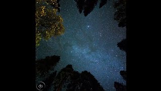 Melodic Rap Beat - Slowly 2.0 | FREE FOR PROFIT