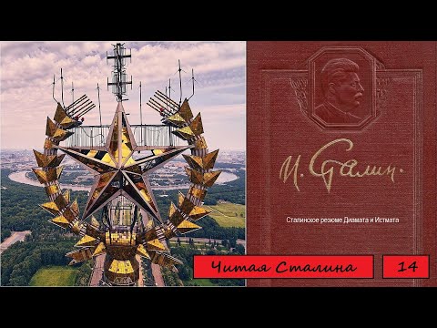 Видео: Ротвейлеры не гниют, один режиссер стремится установить запись прямо