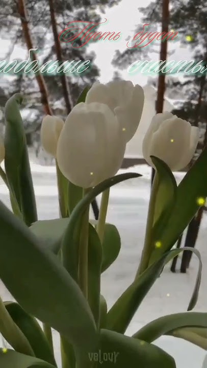 Для Настроения!🌷 - YouTube