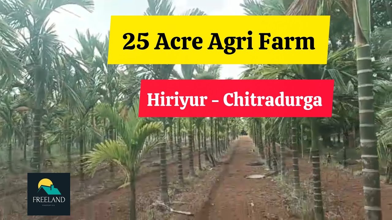 25 Acre Agri Farm  For Sale  Hiriyur | Chitradurga | Karnataka arecanut Coconutfarm 