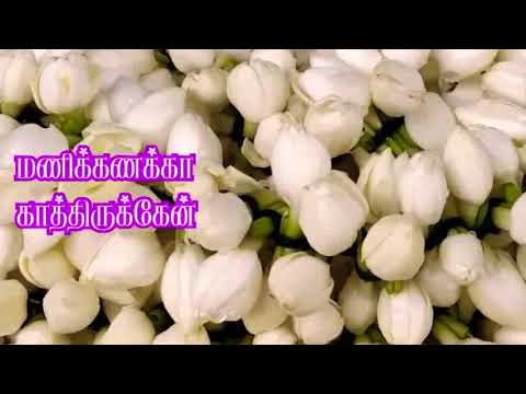 Madurai Malli Vangi Vanthan -Tamil Village Album Song- HD