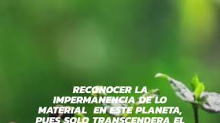 Reflexiones elevar la consciencia