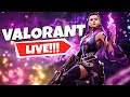 🔴 Reyna Is Back 🤩🔥 #valorant #souvikgaming #valorantlive