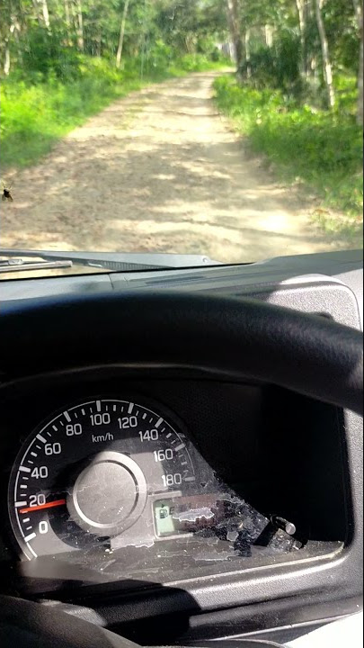 story wa & ig nyetir mobil lewat tengah hutan terbaru