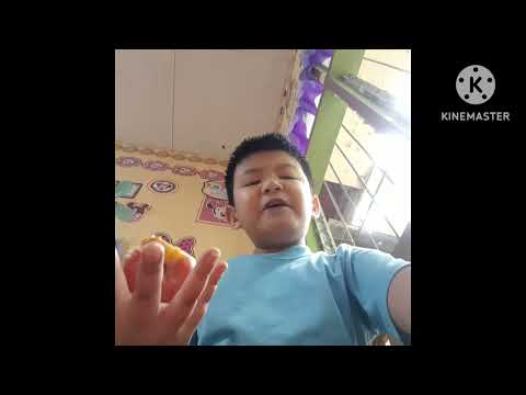 Is This What I Think Is Wasted Food Csupo