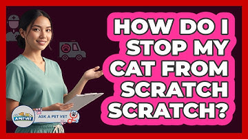 How Do I Stop My Cat From Scratch Scratch?