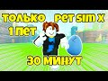 ПРОШЕЛ PET SIM X ЗА 30 МИНУТ С ОДНИМ НУБСКИМ ПЕТОМ В PET SIMULATOR X ROBLOX