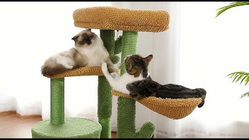 Cactus Cat Tree with Cat Perch Condo
