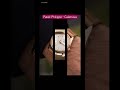Patek Philippe - Calatrava