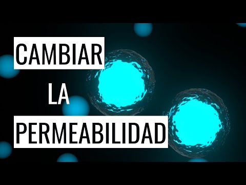 Vídeo: Què determina la permeabilitat d'una membrana cel·lular?