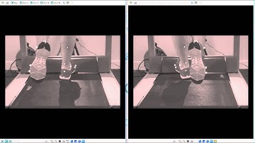 Quintic Automatic Gait Report - Single Camera Alpha/Beta Analysis