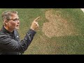 The GREEN Hit Explained | ft Bermuda Grass Central