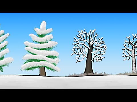 Как зимуют деревья?